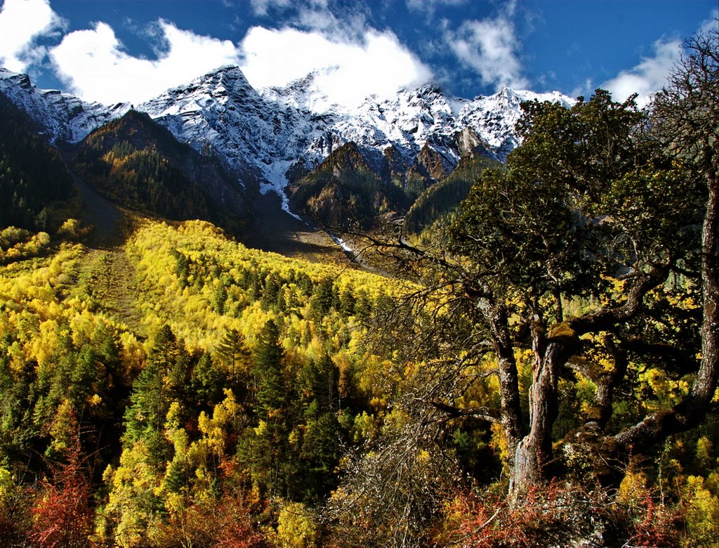 Tibet 波密 by zhouxin