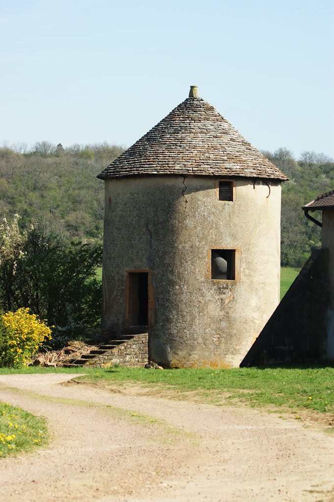 Pigeonnier du Château à Chevagny-Les-Chevrières by philetisa