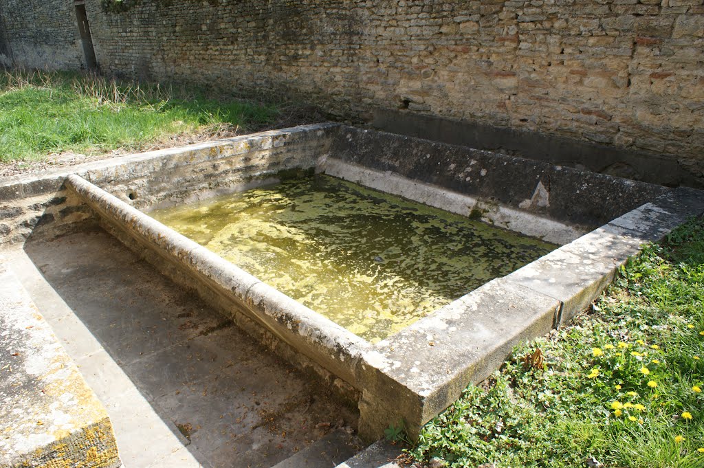 Lavoir des Plantés à Davayé by philetisa