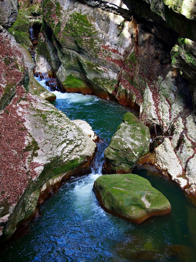 Taubenlochschlucht Biel - Frinvillier (9) by Wilhelm Tell