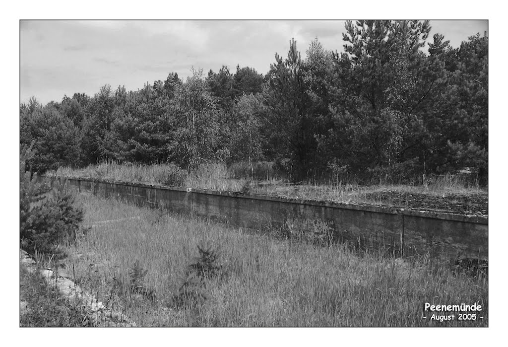 Zeitzeugen im Wald - August 2005 by Ostsee Fischkopp