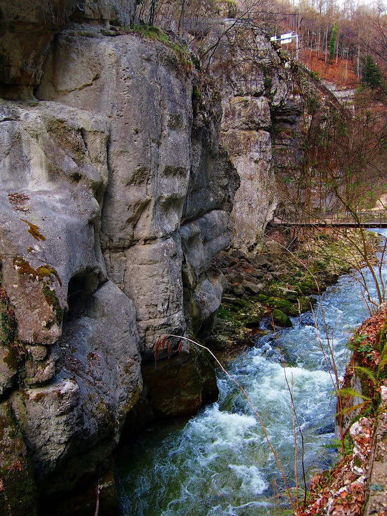 Taubenlochschlucht Biel - Frinvillier (35) by Wilhelm Tell