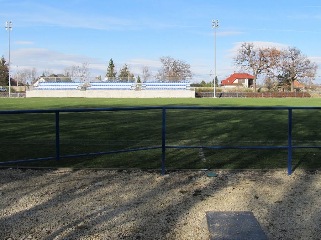 201204021629 Gödöllői sporttelep, az Erzsébet-park felől by Harmadik