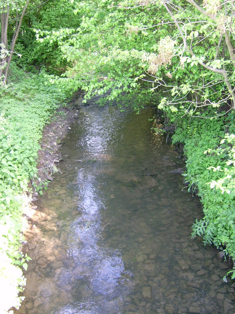 Der Goldbach an der Brücke by C. Rüger