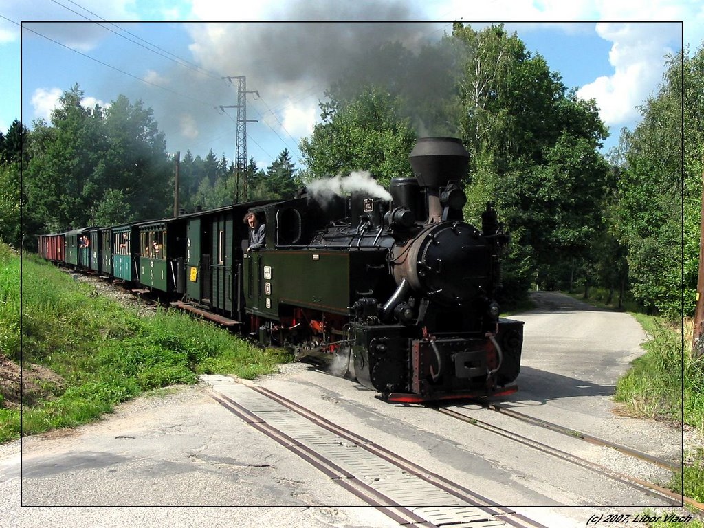 Steam train near Maly Ratmirov by Bug hunter