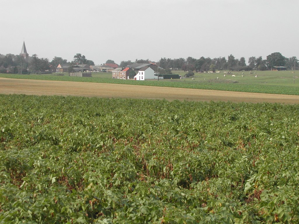 Remicourt, Belgium by Gilles Meunier