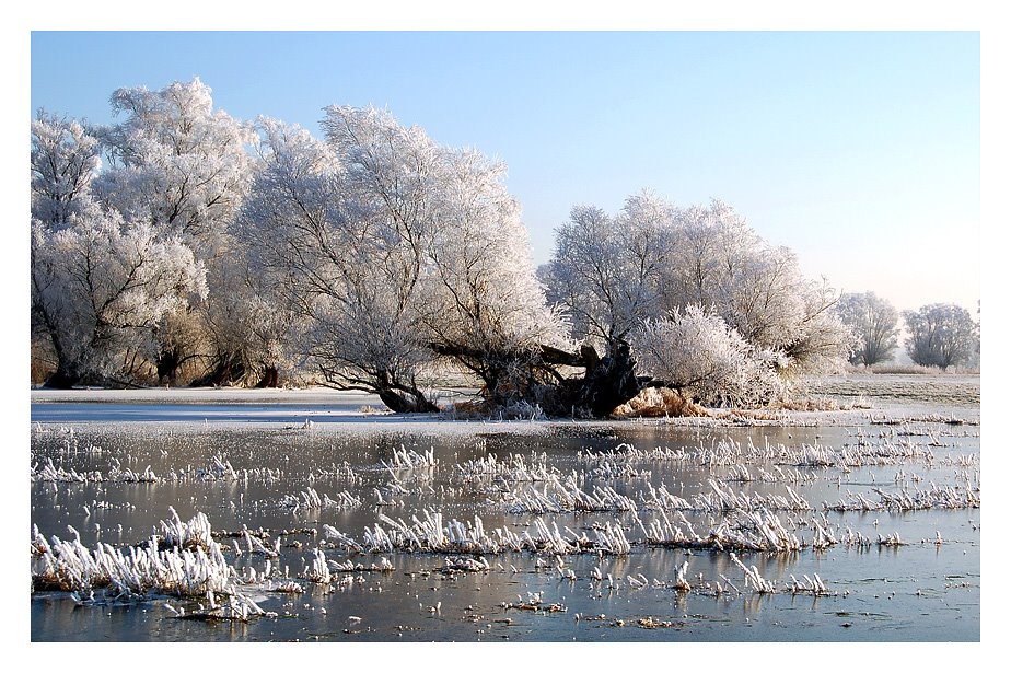 Überschwemmte Havelwiesen by Afrost