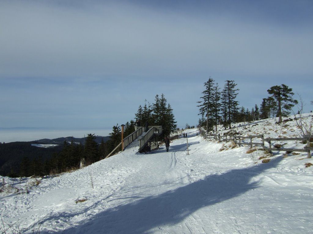 Schliffkopf, am südlichen Ende des Tausend-Meter-Weges by RDZfds