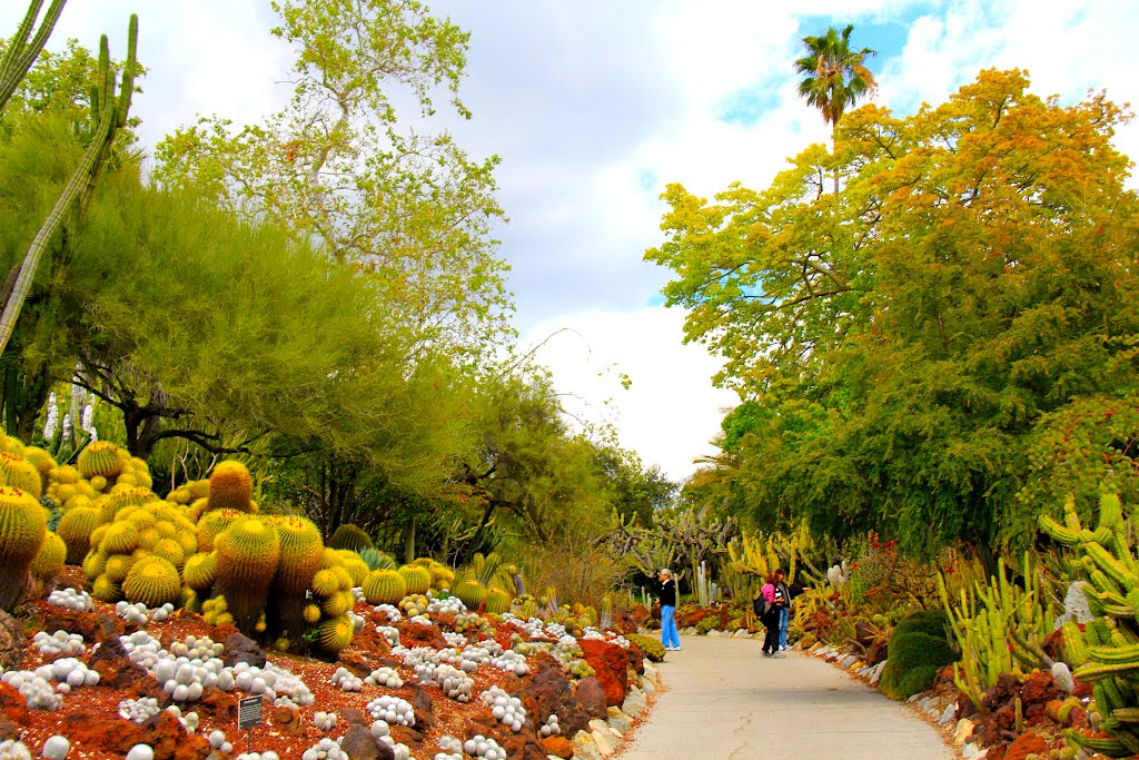 The Huntington Art Museum and Botanical Gardens, San Marino, CA by MICHAEL  JIROCH  &  www.michaeljiroch.com