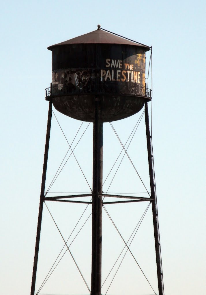 Save the Palestine by Gaelle VDB