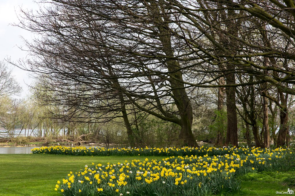 Spring Kralingse plas by © BraCom (Bram)