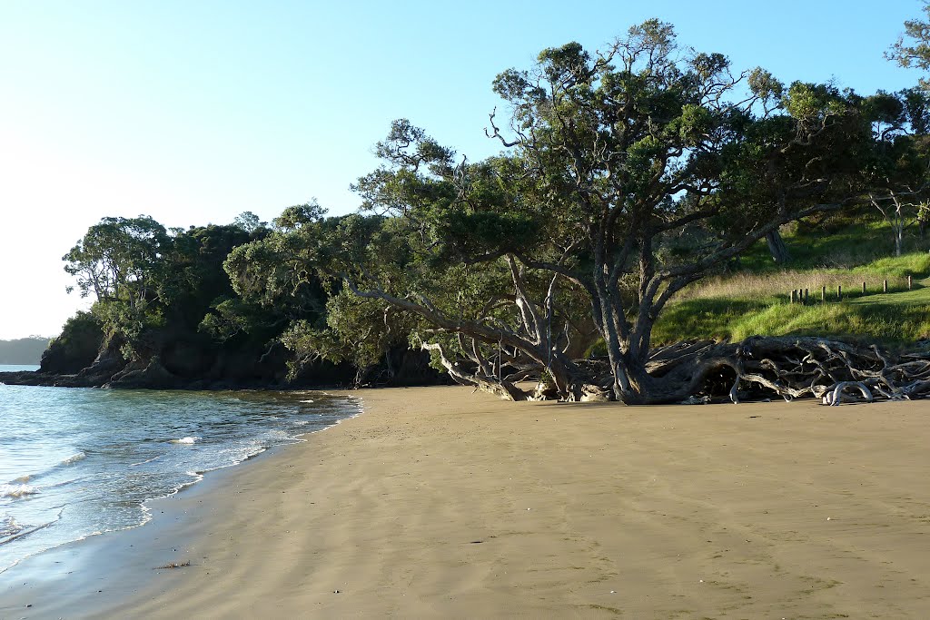 Purini Bay, Whangaruru North Head, Northland by Linbery