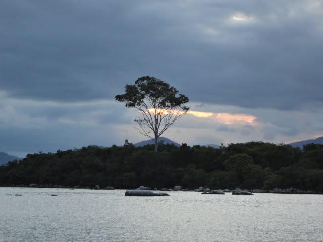 Ilha das Cabras, Imaruí-SC by Bugio da Zimba