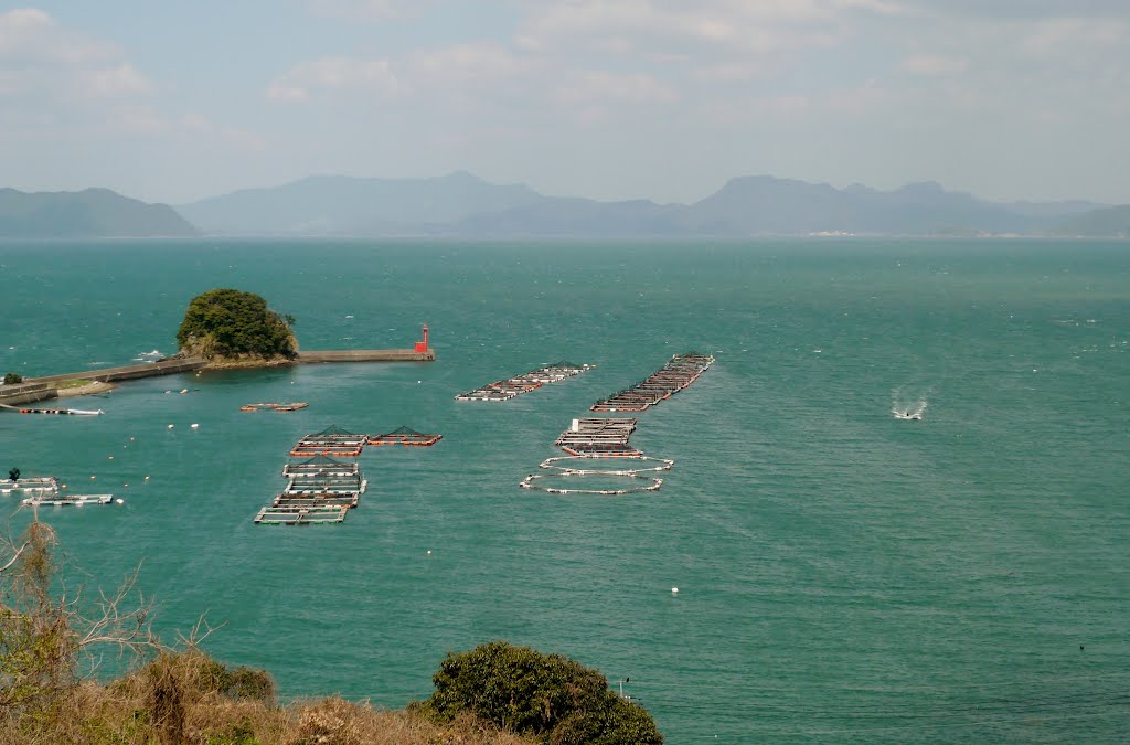 不知火海の春　熊本県津奈木町 by Yamachan