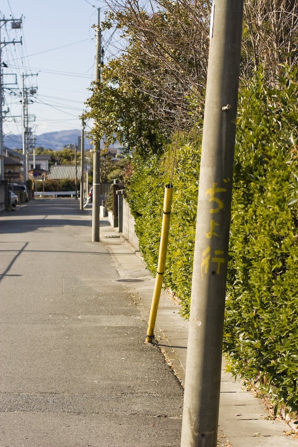 A Telegraph Pole in Taira-Kuhonjimachi（平九品寺町） by urapyon