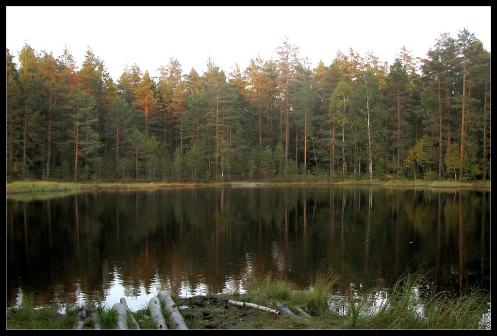 Lake by Igor Luzhanov