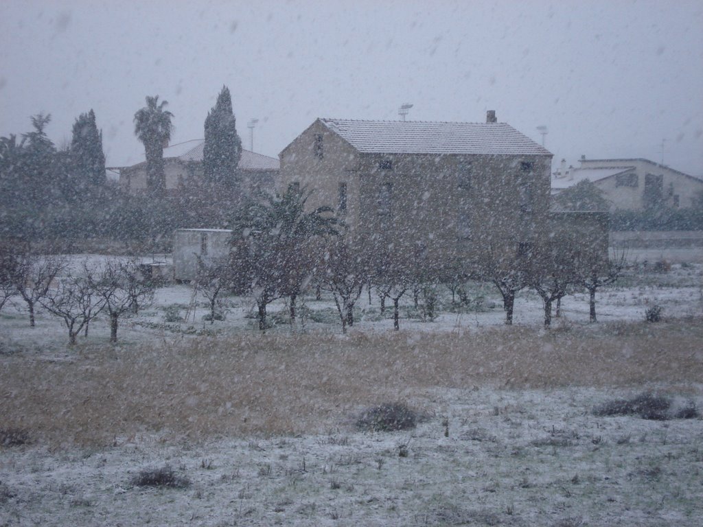 Neve a Martinsicuro by blocnum