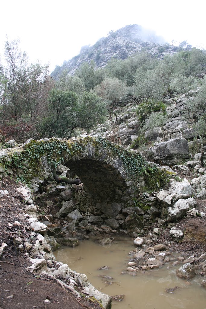 Puente al inicio del sendero del ojo del moro by jmezh