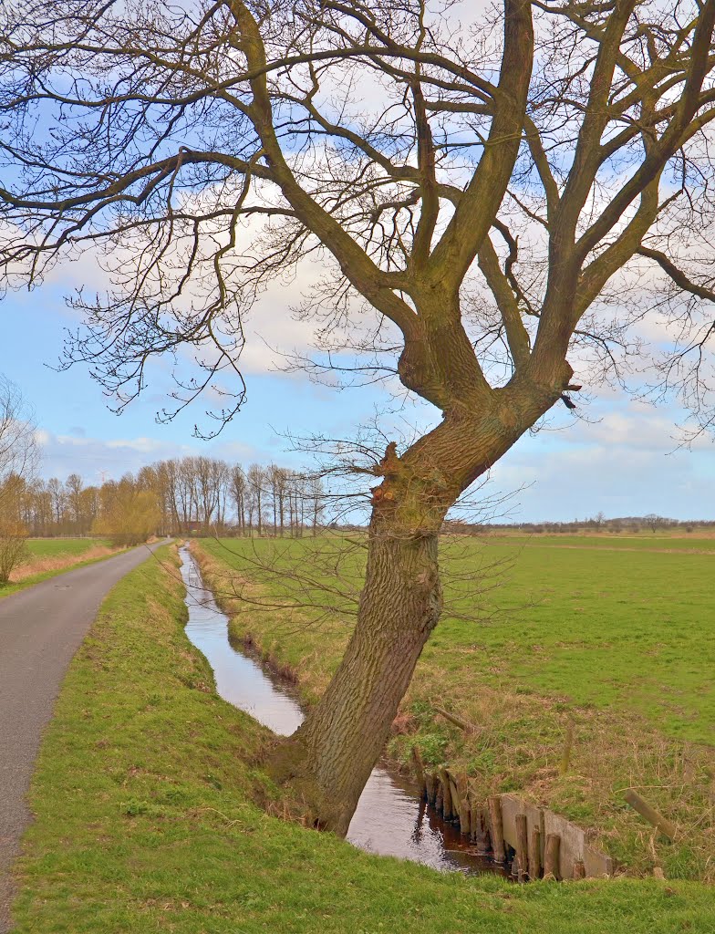 Blick in die Elbmarsch bei Holm by Juliane Herrmann