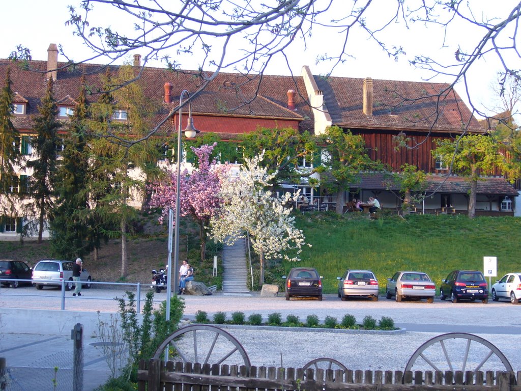 Gasthaus Löwen im Frühling by irke56