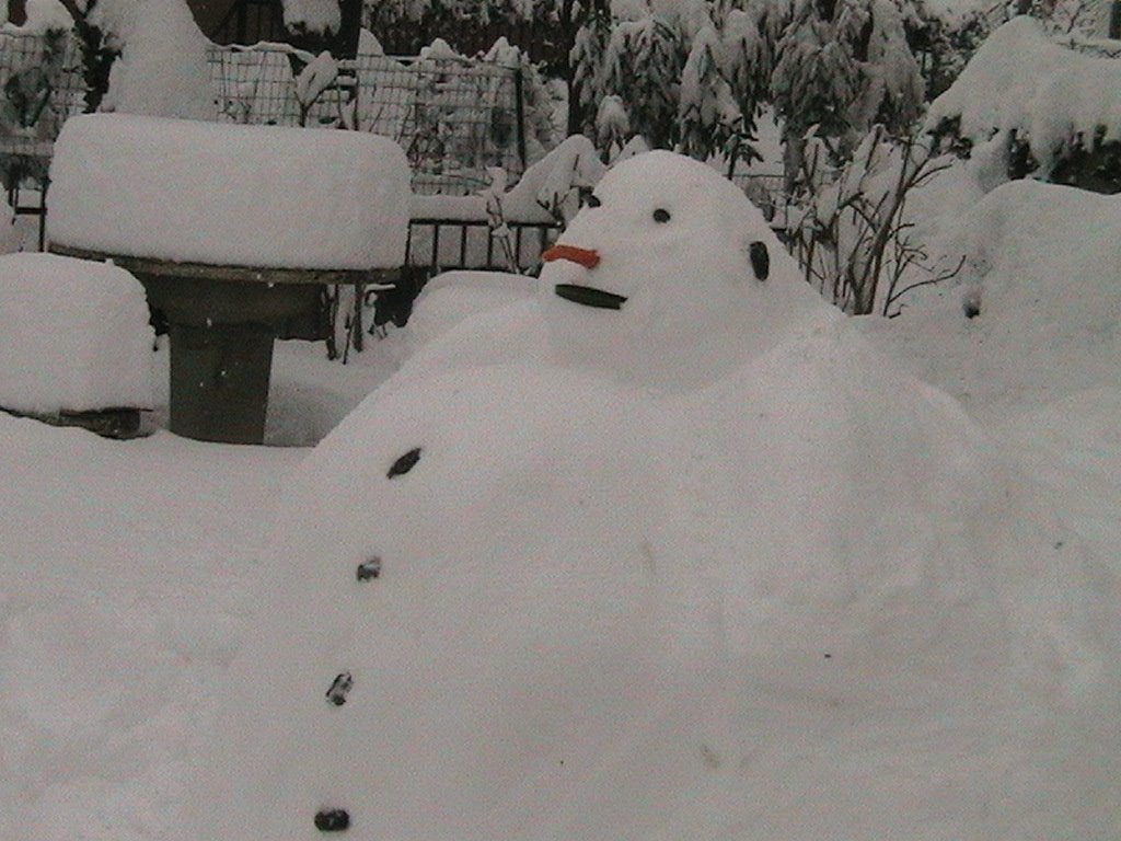 La nevicata del 27 gennaio 2005 , il pupazzo di neve by LIRIOMETEO