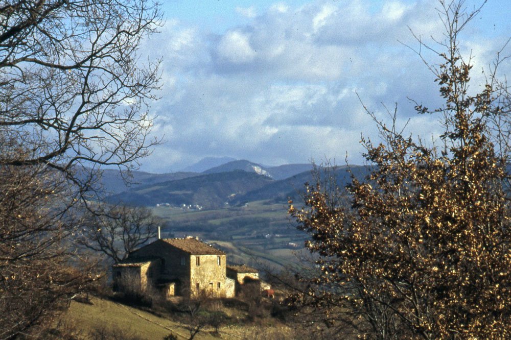 1996 - Campagna Marchigiana by ♥ stazio vinicio