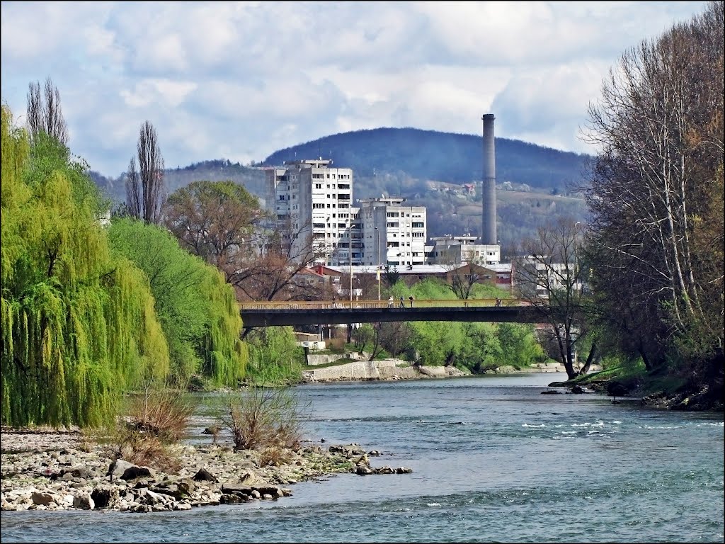 Врбас и мост Венеција by Сувајац