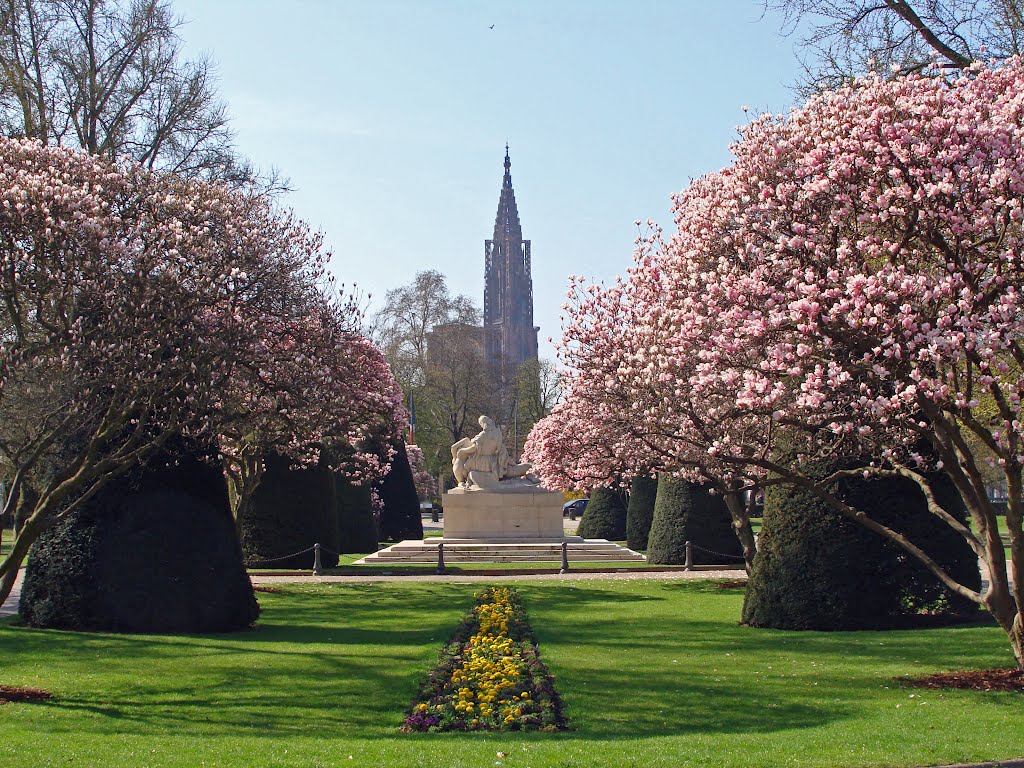 Strasbourg Place de la République, cathédrale by Jean-Marc Pascolo