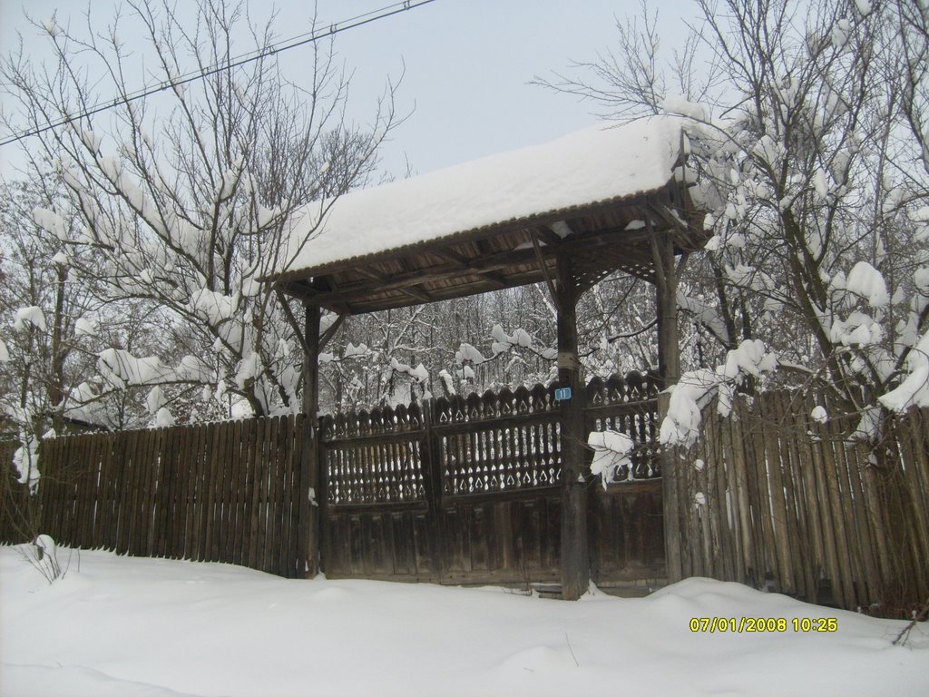 Traditional peasent house gate by vintila