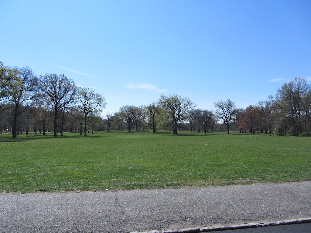 Branch Brook Park by Adam Elmquist