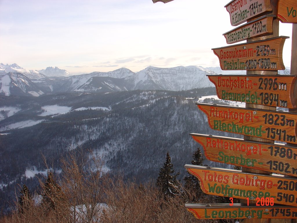 Zwolferhorn panorama left by stelu1967