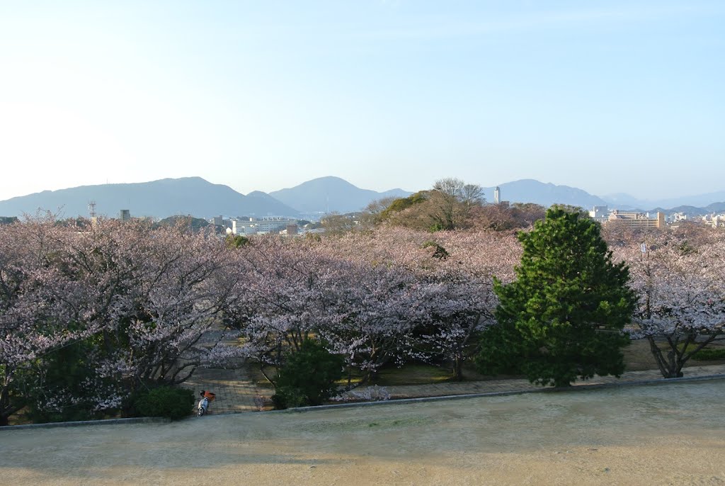 戦場ヶ原公園 by gatarou