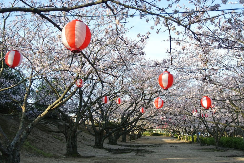 戦場ヶ原公園 by gatarou