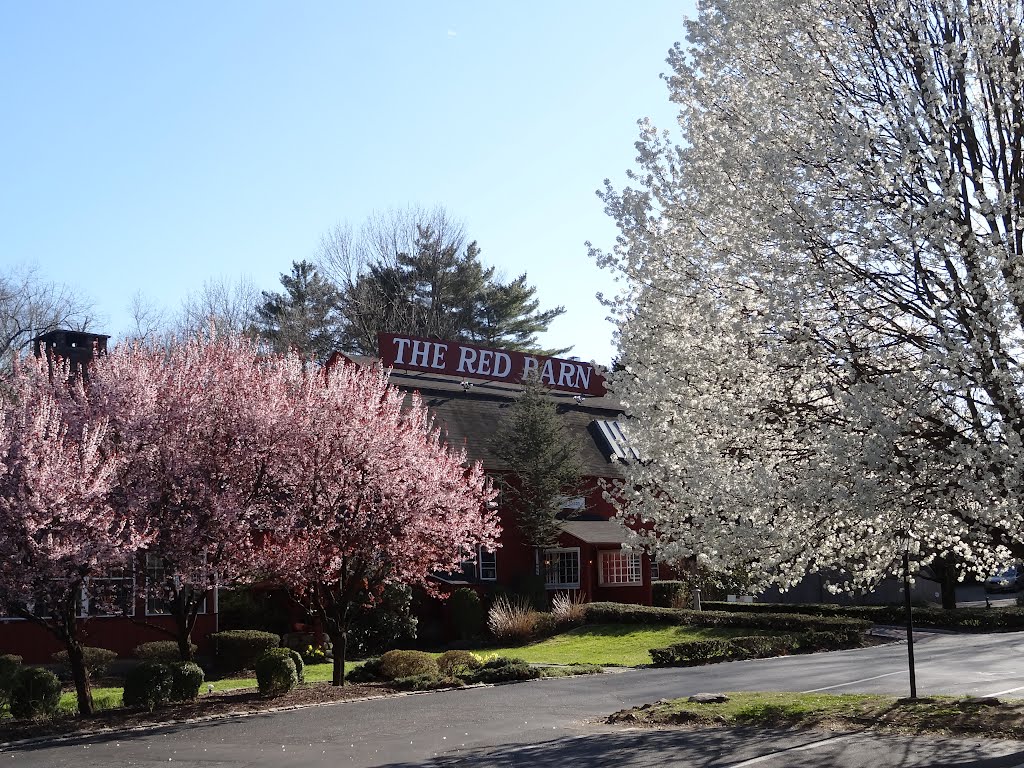 The Red Barn in Spring by rogerking