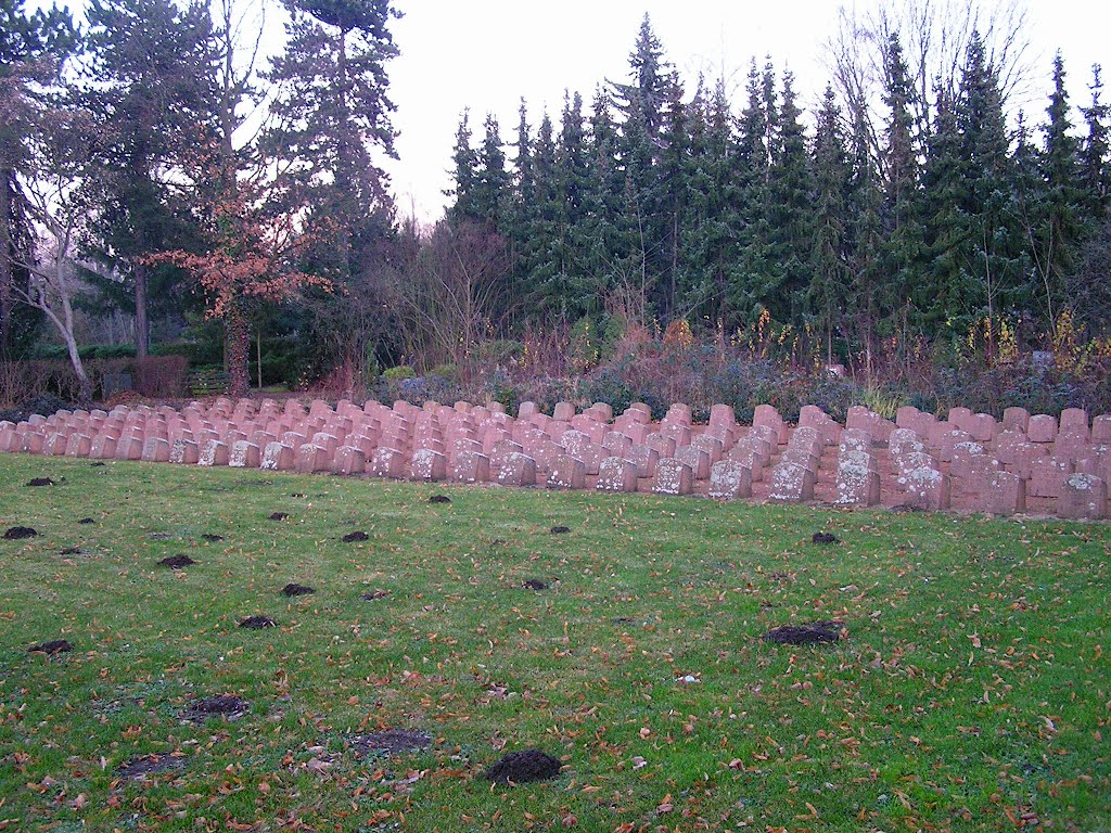 Gertraudenfriedhof by Ralf John