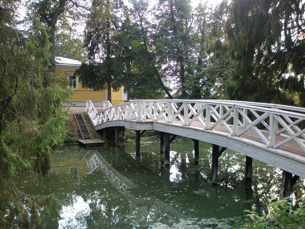 "Gorbaty" ("Bent") Bridge by ELFik