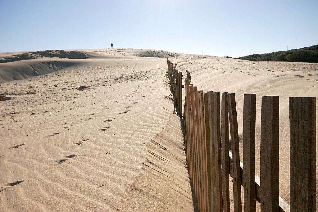 Dunas de Tarifa by chodaboy