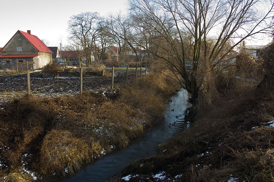 Kasina stream in old part of Muchobor by psboy.pl