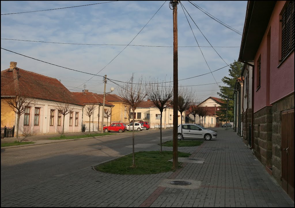 Gornji Milanovac 04.04. 2012.2012 S 871 SrbJar_07 by Mick1954