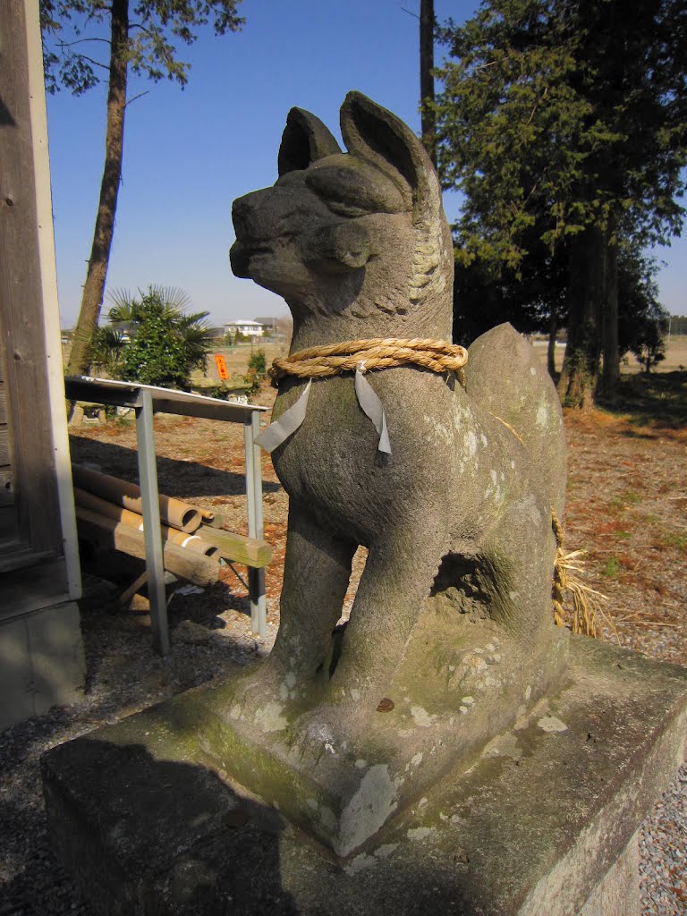 稲荷神社 (上三川町上文挾)　広大な畑の真ん中にある神社 お狐様 by akayar