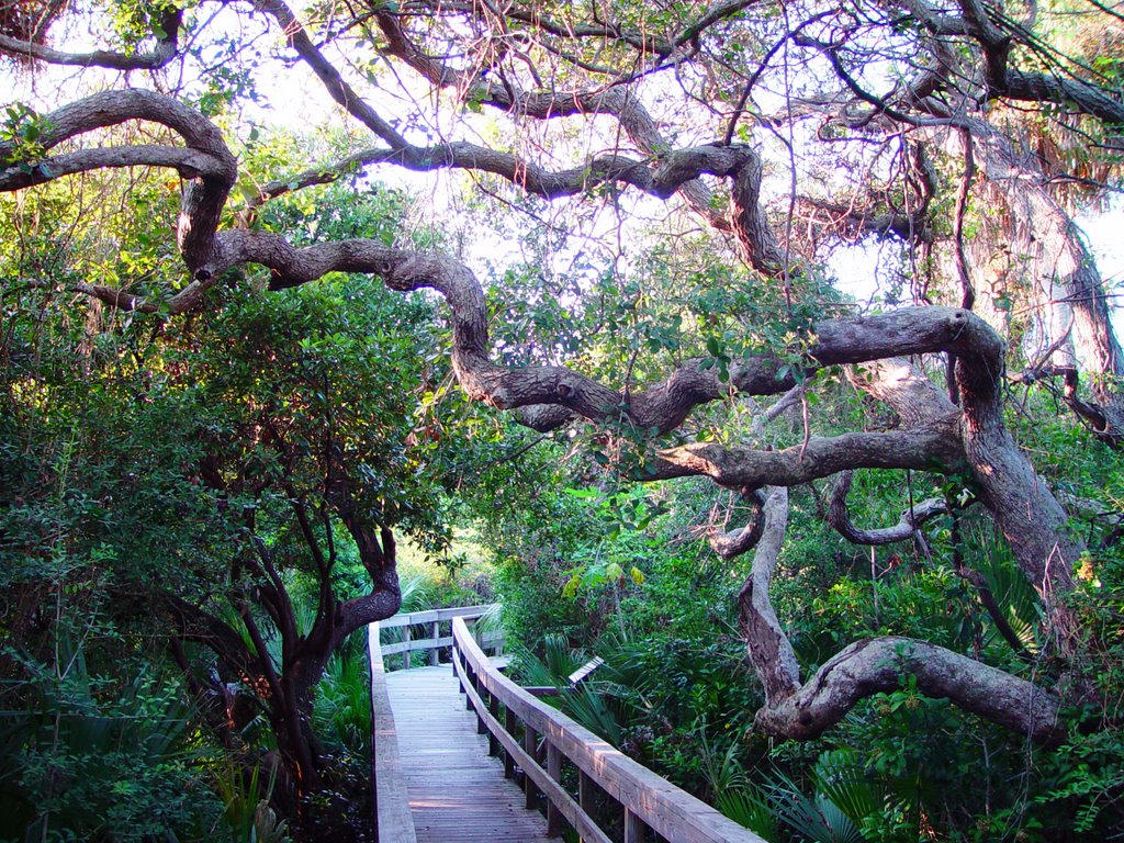 Boardwalk to Turtle Mound, Apollo State Park, Florida (10-22-2006) by Ken Badgley