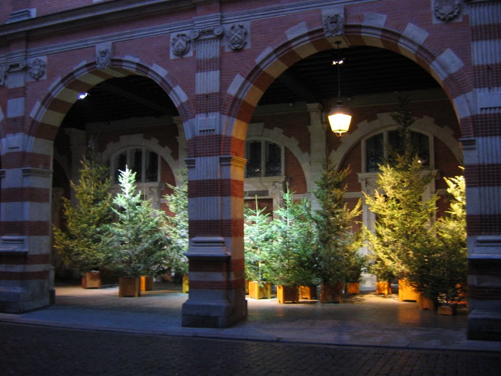 Toulouse Centre, Noël au Capitole. by Phil'Ours