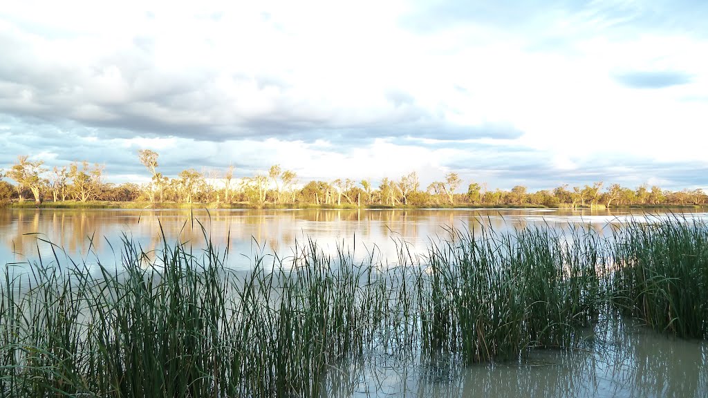 Love the river Murray by Matthew R Lee