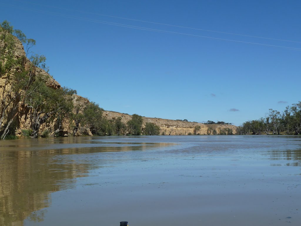 River Murray - South Australia by Matthew R Lee