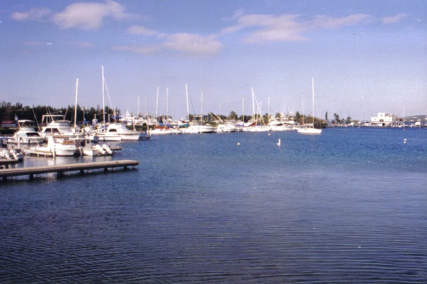 Marina la Guancha-Ponce by Ricardo David Jusino