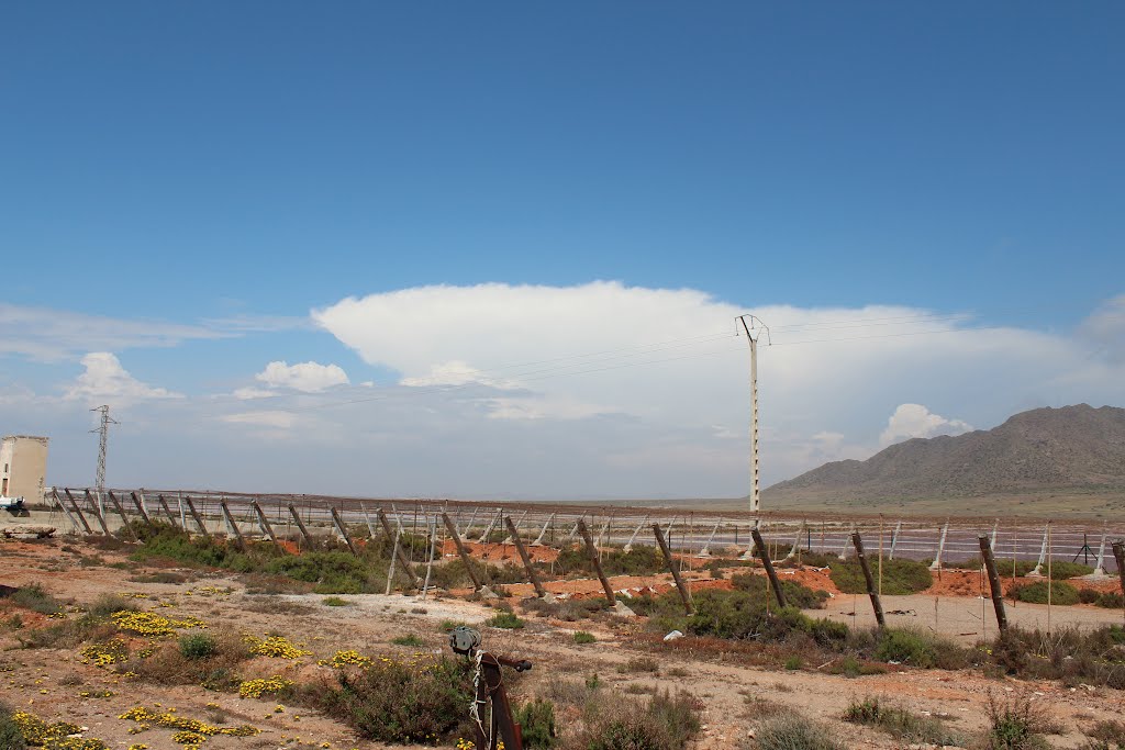 Las Salinas, Cabo de Gata, Almería by José Angel, delapeca