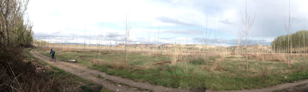 Panorámica de Monzón desde la Chopera by castells92