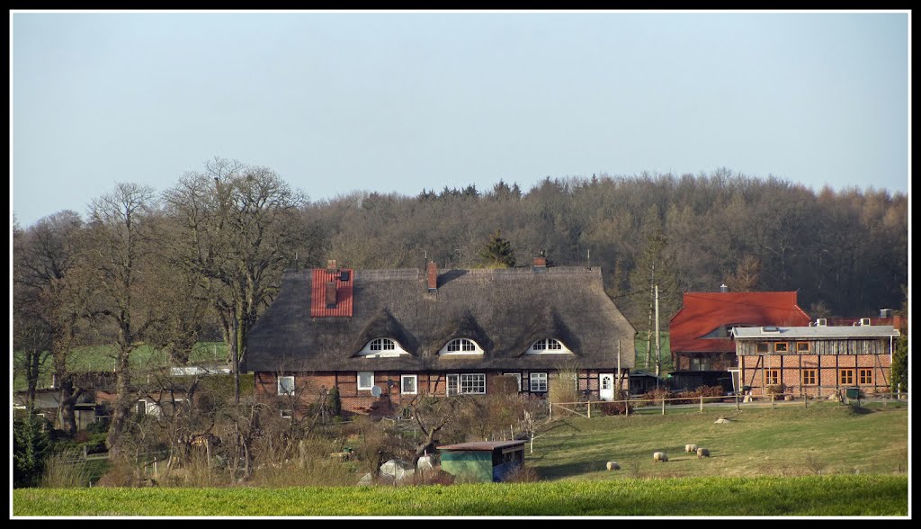 Seefeld (Mecklenburg-Vorpommern, Germany) by マティアス