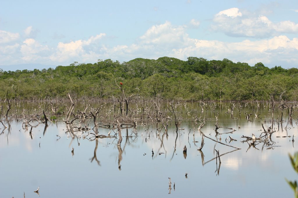 Parque de Morrocoy by Danilo T.