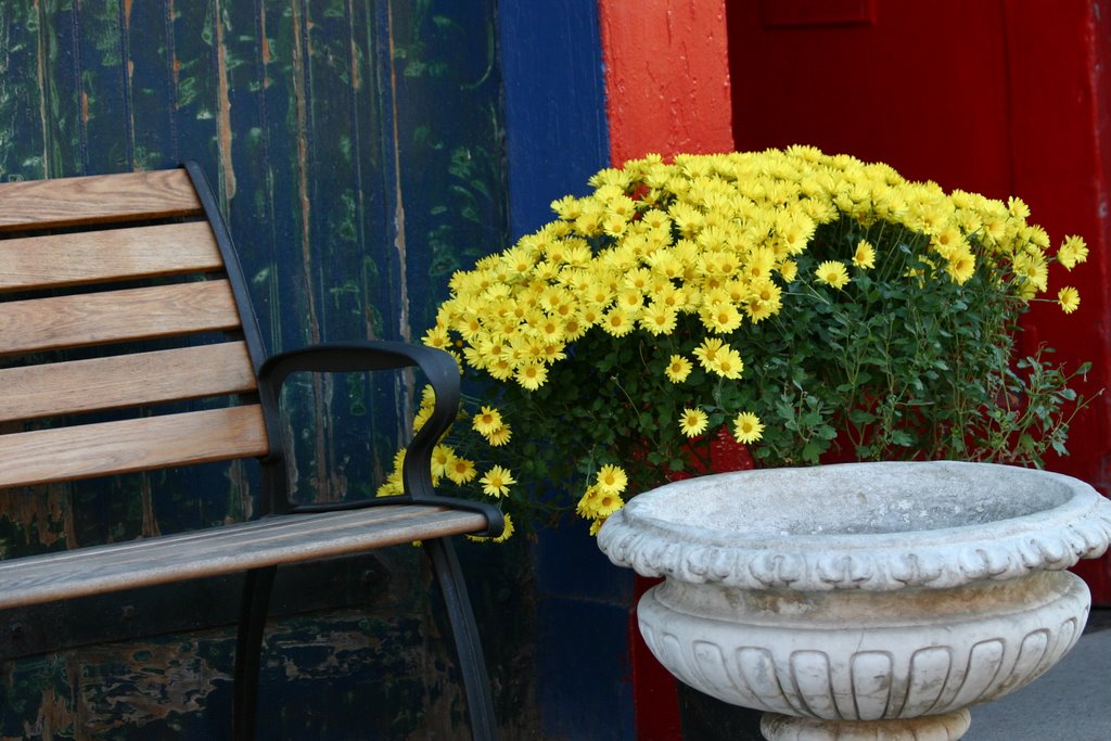 In front of a cafe on Fulton by Vinod Kalathil